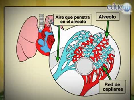 download the art and science of